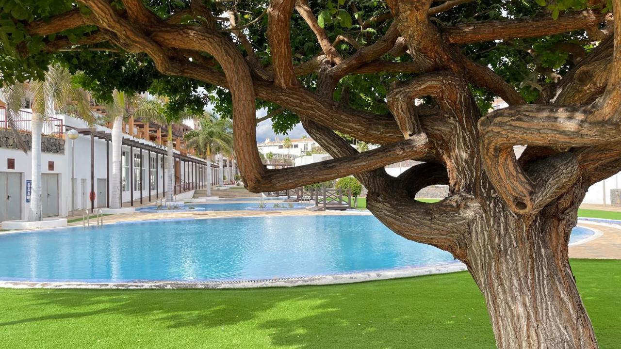 Casa Helen 2 Tenerife Sur Διαμέρισμα Σαν Μιγκέλ ντε Αμπόνα Εξωτερικό φωτογραφία